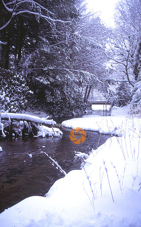 Snow1