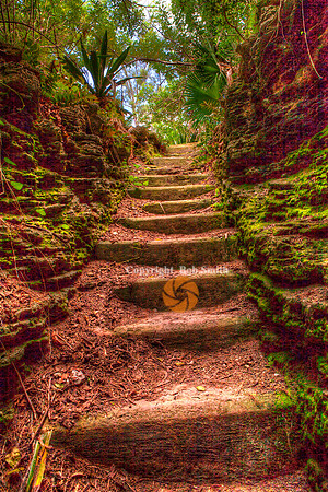 Steps2a