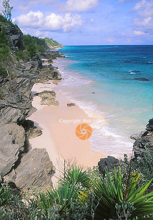 Astwoodcove1a