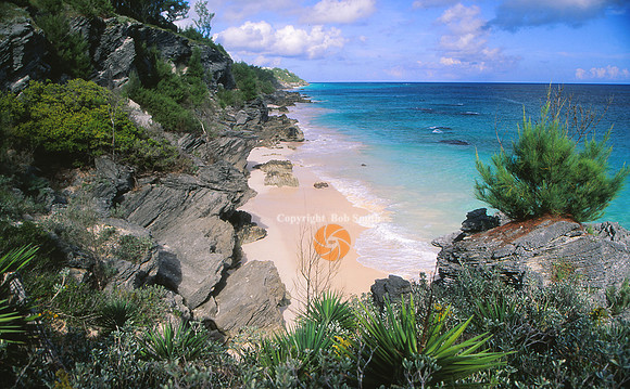 Astwoodcove