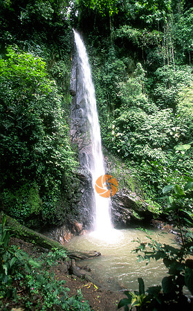 xandarifall1